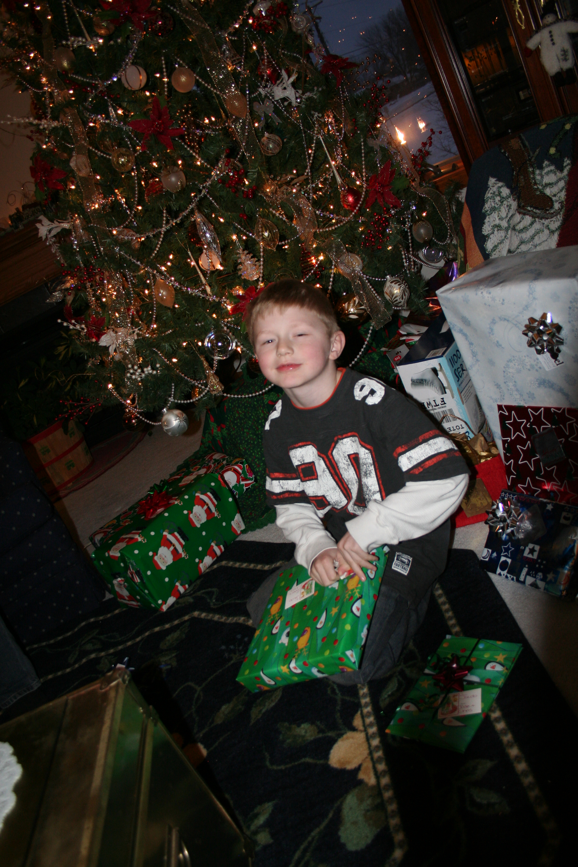 2008 christmas bear